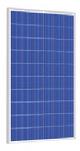 Economy Solar Panels 250w